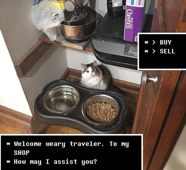 tedexeo's tweet image. A él si le aprieto al botón “A” hasta volver al diálogo y comprar otra vez.