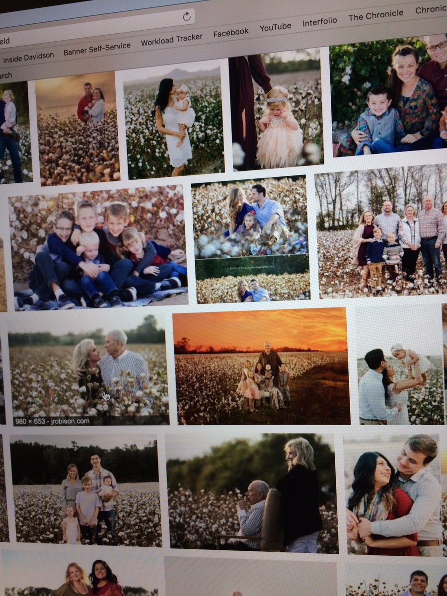 Arianna Montero Colbert On Twitter Investigating Cotton Fields