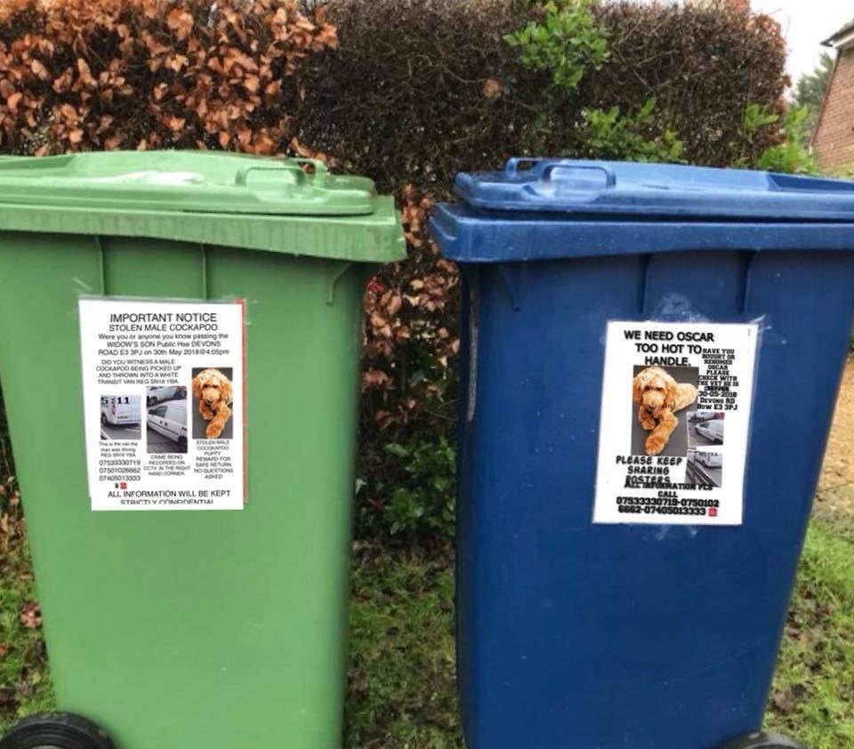 gelert01's tweet photo. ⚡️⚡️NEWSFLASH⚡️⚡️

📰read all about it! 📰

🛑Oscar was stolen 30/05/2018 outside the Widow Sons Pub Devons Rd London CCTV footage of man and a van!🛑

👀Did you see OSCAR that day? Have YOU seen hm since? 👀

🐦RT to help find OSCAR 🐦 https://t.co/95ZfLTewEu