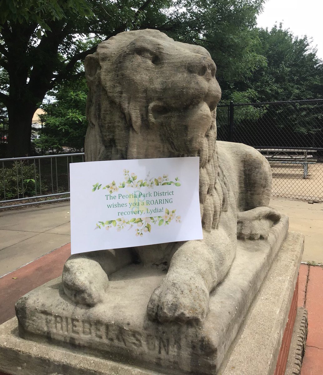 TownAndChamber's tweet photo. RT|@PeoriaParkDist: The Peoria Park District wishes you a ROARING recovery, Lydia!  #GetWellSoonLydia #PeoriaSculpturesUnite #peoriaparkdistrict @bradleyu #bradleyuniversity #peoria https://t.co/KnDMcQLy07