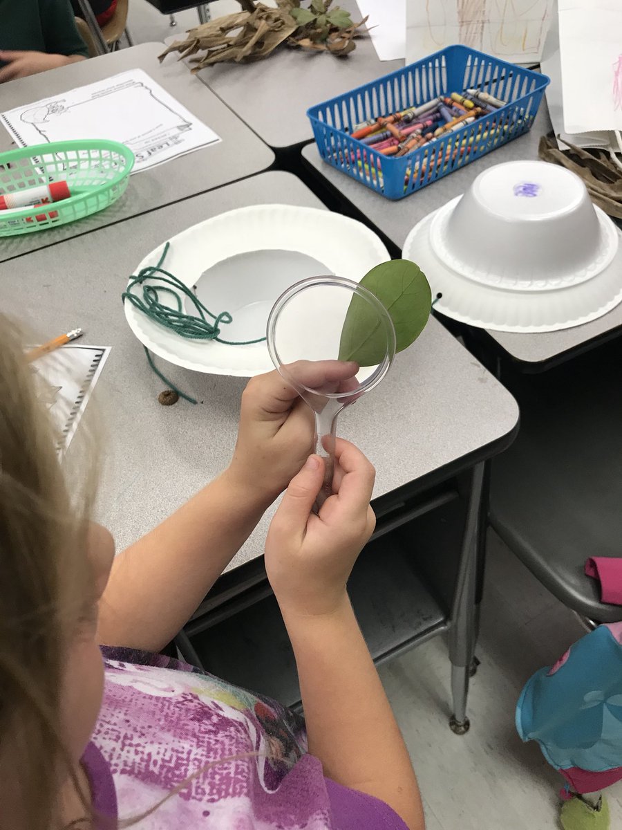 TeachMrsDTeach's tweet photo. Leaf safari today! @The_GESGators @IRCSchools #SummerScienceInstitute https://t.co/6oxqICoJe2