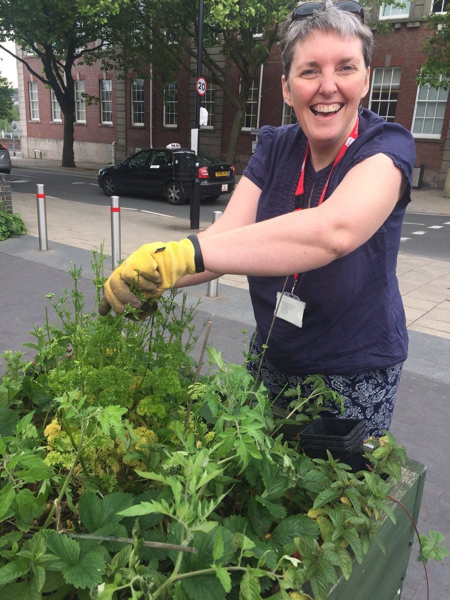 advocate_Patsy's tweet photo. @annafrancisart look what the sun, rain and soil are growing with a helping hand from @pennyccu @StaffsUni #Thegreenroute #strawberries #corgettes #mint #growyourown #communityplanter #creativecommunities #growandshare #ladybird #sot https://t.co/A0hKImZV27