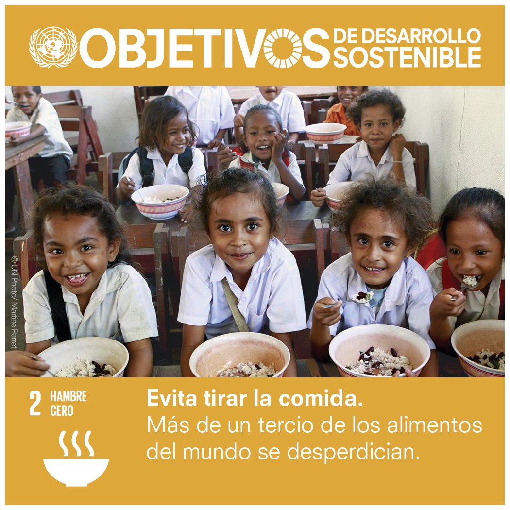 Naciones Unidas tweet media