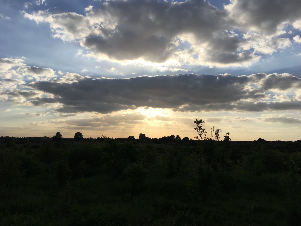 steveksn's tweet image. 531 consecutive days of running and it’s made my legs grow! Love being outside at this time of year. So many great places to explore and lovely to be in touch with nature and the great Kent countryside. #ukrunchat #JoinInJune