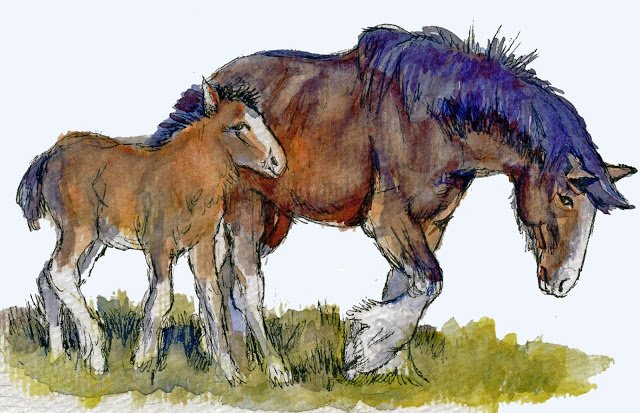 jorgedeplaya's tweet photo. Postcards for the Lunch Bag: Clydesdale Mare and Foal #PostcardsForTheLunchBag #PostcardArt @Hahnemühle_USA #Hahnemühle_USA #WorldWatercolor https://t.co/yFUXiwJacZ https://t.co/U56lcpWo7Y