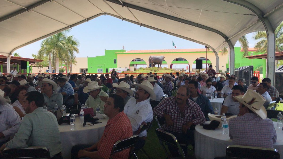 FUGOM_CNOP's tweet photo. Felicitamos a nuestros compañeros de sector #FUGOM en Sinaloa por la excelente convocatoria en el evento de respaldo a nuestro candidato @JoseAMeadeK #MeadePresidente2018 https://t.co/uM2a5SoEkI