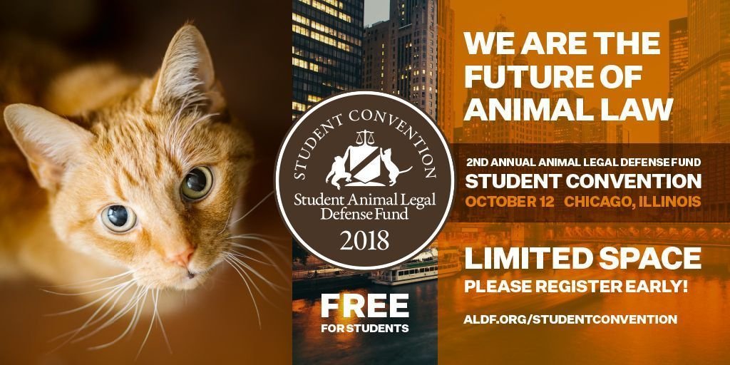 KellyLevenda's tweet photo. The agenda for the @ALDF Student Convention 2018 is posted! We'll have a career panel, lunch keynote, #lawstudent panel, & the #SALDF Summit! Register now 👉 https://t.co/14TeTDJE0T #animalrights https://t.co/Mj1VmhOEfH