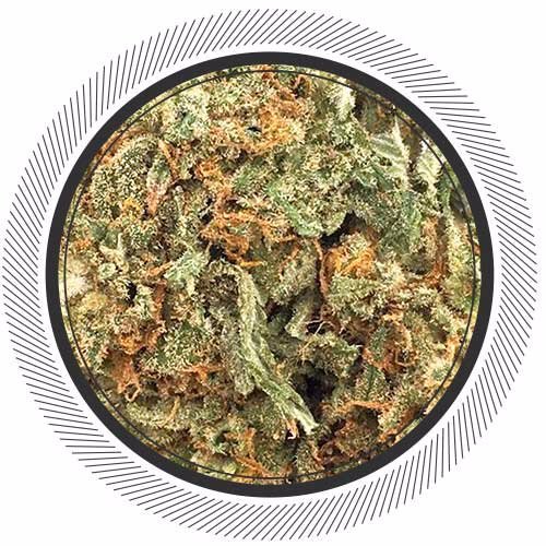 getwhitepalm's tweet image. The limited drop we had 2 weeks ago of #CherryPie sold out in 37 minutes. How long will this one take?

Any guesses?

getwhitepalm.com/product/nwc-ch…