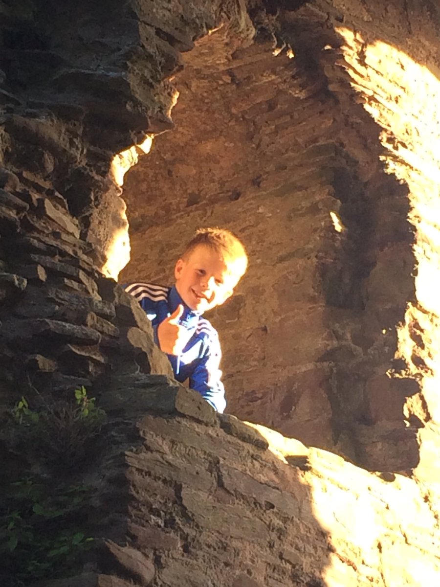 Bramptons Primary tweet media