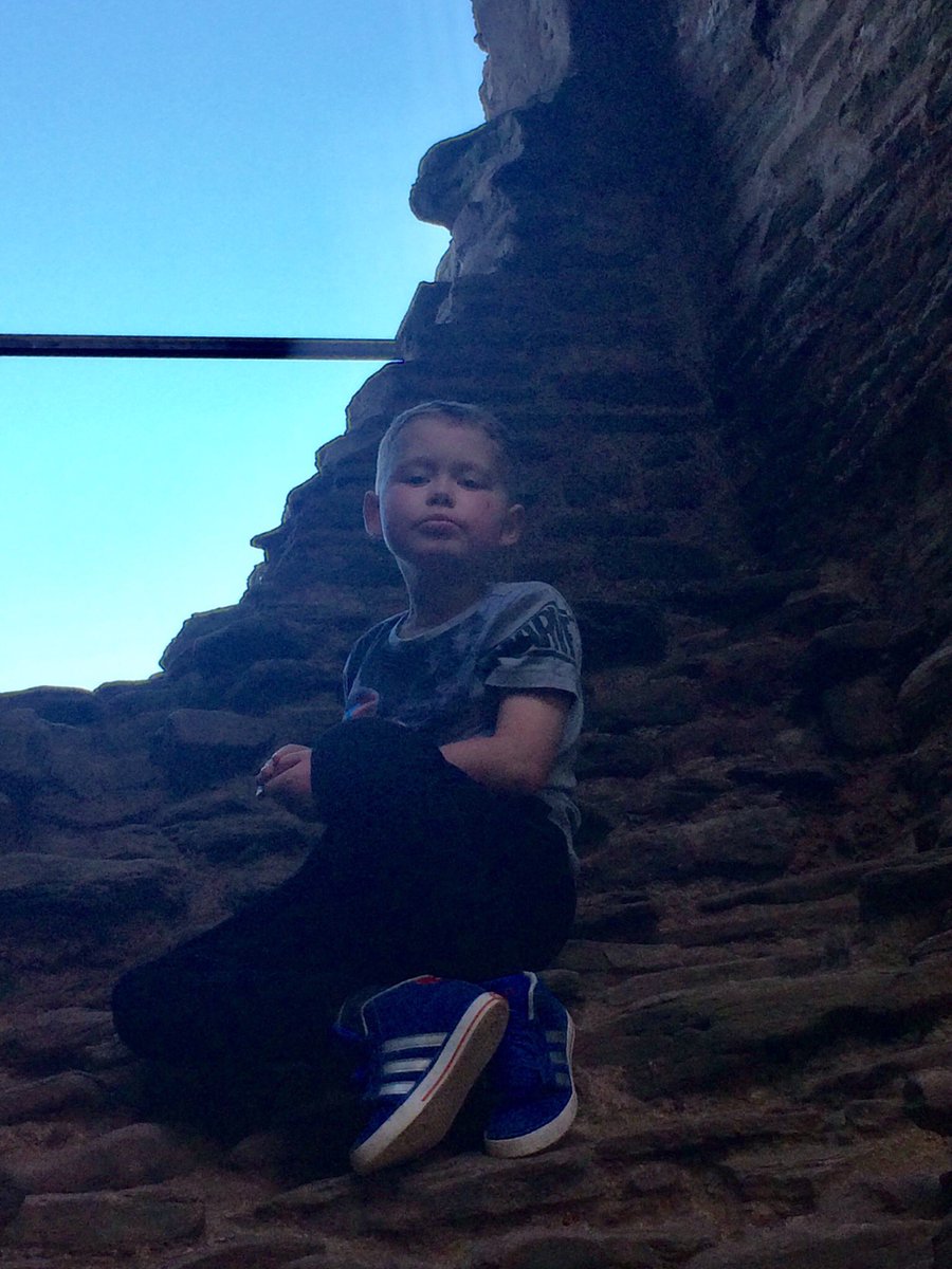 Bramptons Primary tweet media