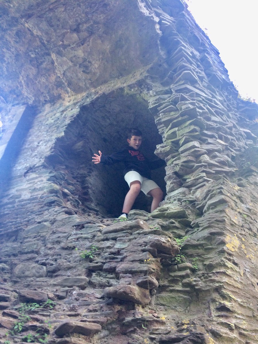 Bramptons Primary tweet media