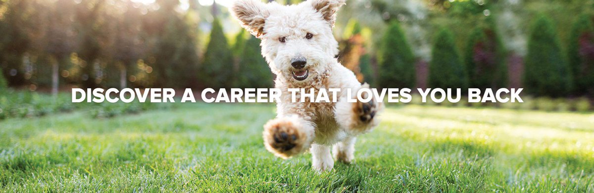 #fortheloveofpets! We are opening a NEW <a href="/PetSmart/">PetSmart</a> store in #Kirksville, #Missouri, and we are #NowHiring !  What better way share your love an passion pets, than in our stores and #petsmartgroomingsalons!   <a href="/JoannaZucker/">Joanna Zucker</a> <a href="/davidrmichael/">David R Michael</a> @PetSmart_DaveK @LifeatPetSmart <a href="/PetSmartAE/">Associate Engagement</a>
