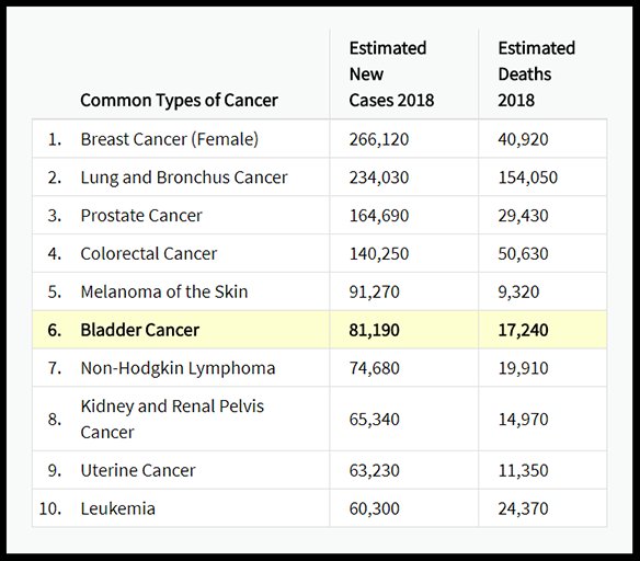 NCI Cancer Stats tweet media