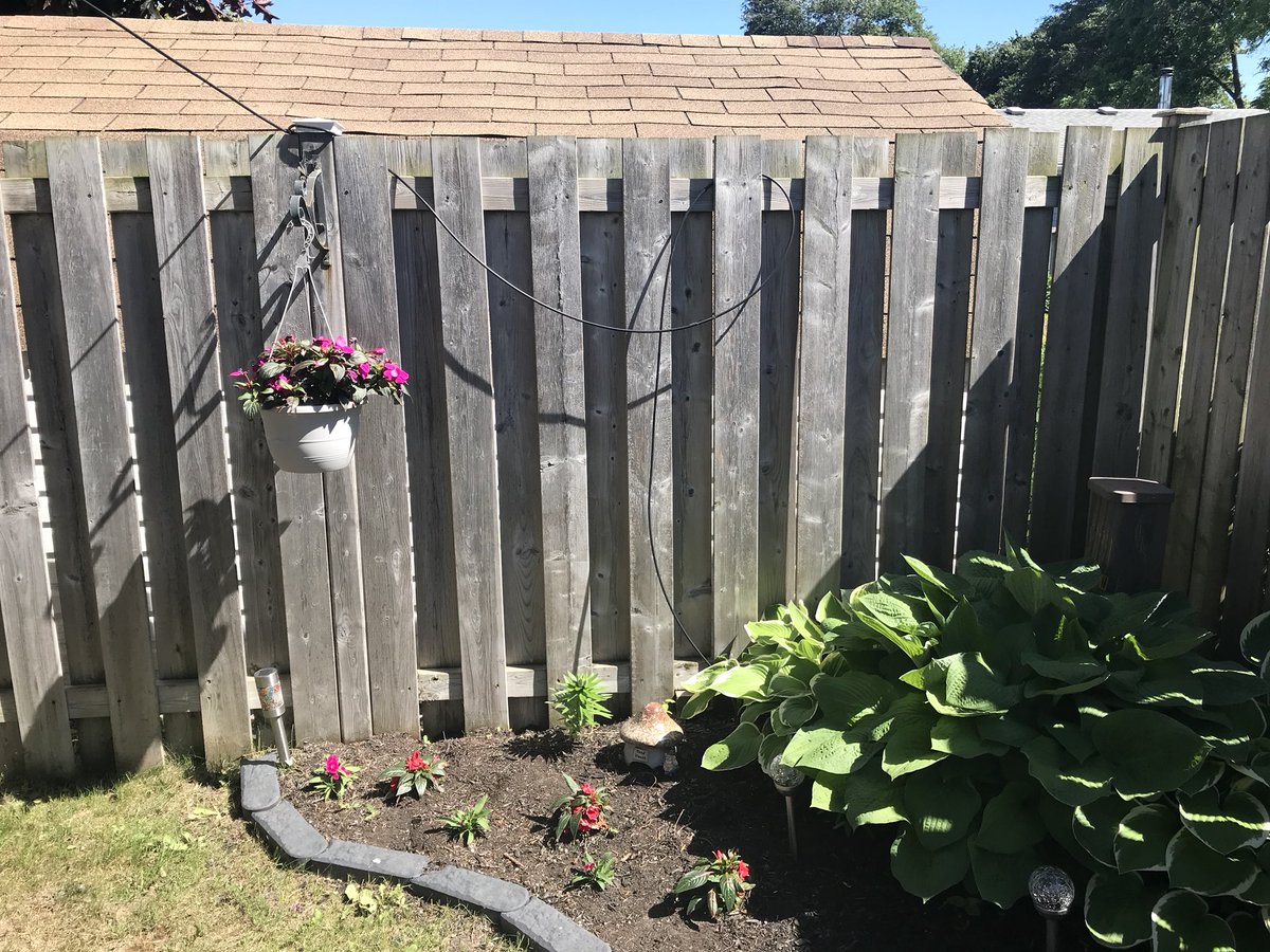 MalloryKel's tweet photo. My garden would look so much prettier without the @Rogers cable hanging through it... been waiting 318 days to get it buried. Was just told to “have more hope” on the phone 🙄 #burymycable #willitbeafullyear https://t.co/pp0ffMTLon