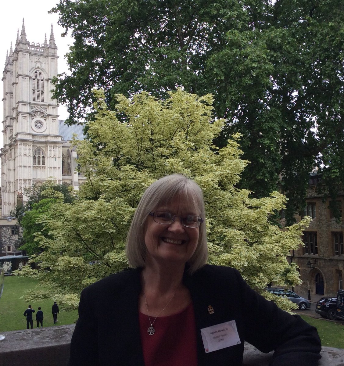 agnes_houston's tweet image. What a proud moment receiving my Churchill Fellow award in such a glorious setting Thank you @wcmtuk @LifeChangesTrst @neilmapes @DFC_rural @aprofcolmc @juliechristie1 @rochfordbrennan @JeanGeorgesAE @WendyPMitchell @Dem_Adv @KateSwaffer @railwaylodge @rb33canada