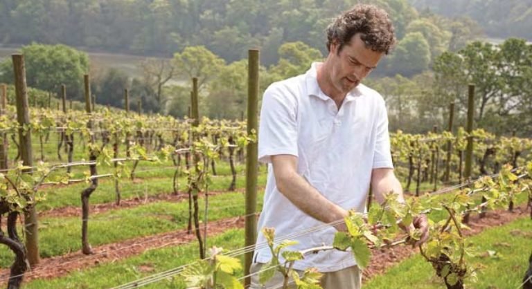 RT @food_mag: Not sure where to start with South West wine? @DartsFarmthat’s where. 

Duncan Schwab of @SharphamWines reveals what the British wine maker wishes you knew ... ow.ly/fXHG30kusXX