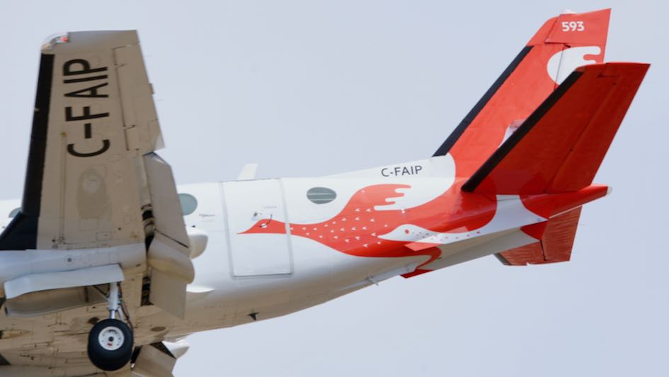 𝔣𝓇𝓪𝐧ｋ ᖇ乇𝓐г𝕕𝐎𝐍 Ƥʰᵒᵗ𝕆𝐬 tweet media