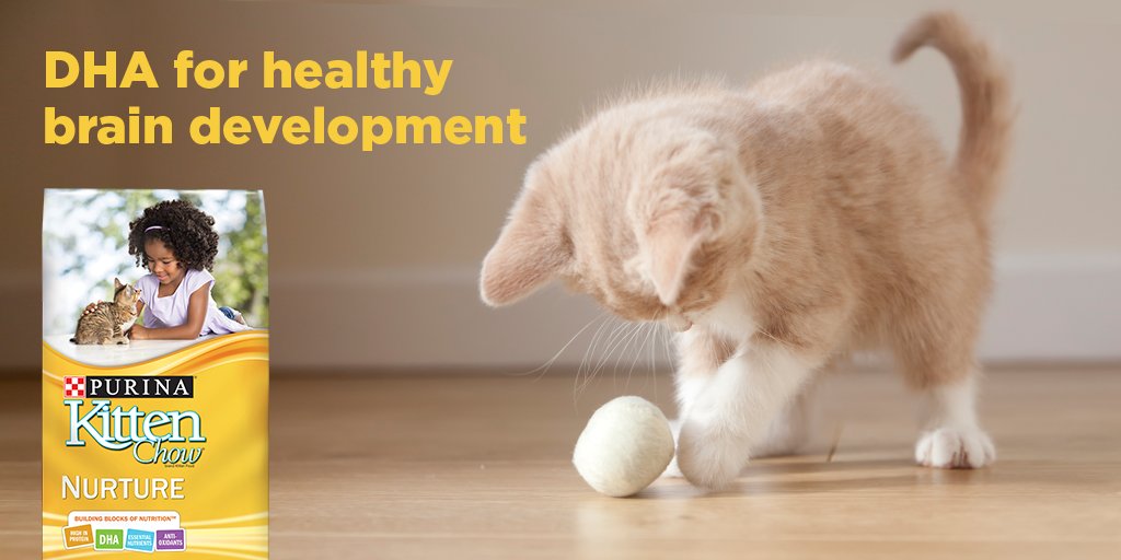 Purina Cat Chow tweet media