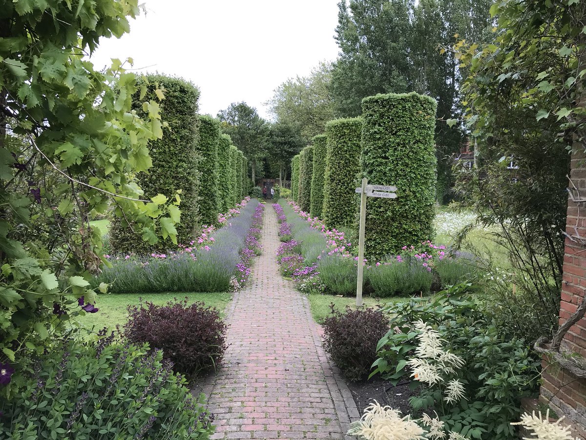 stevenedney4's tweet photo. As i approach mid summer, I like to take stock of the garden, have to say it’s looking relaxed and romantic. How I love this time of year https://t.co/Ui8vGjXC3g