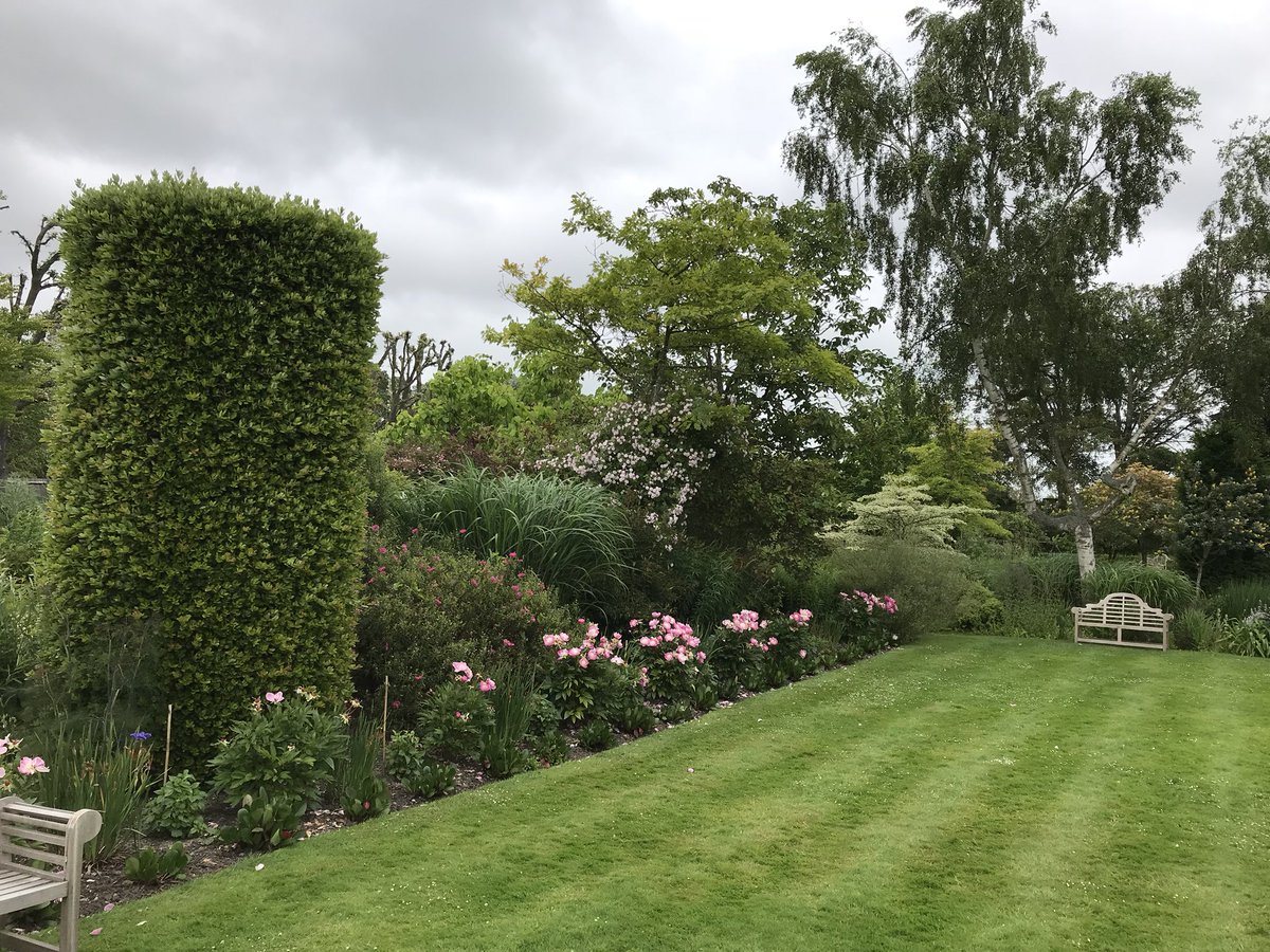 As i approach mid summer, I like to take stock of the garden, have to say it’s looking relaxed and romantic. How I love this time of year