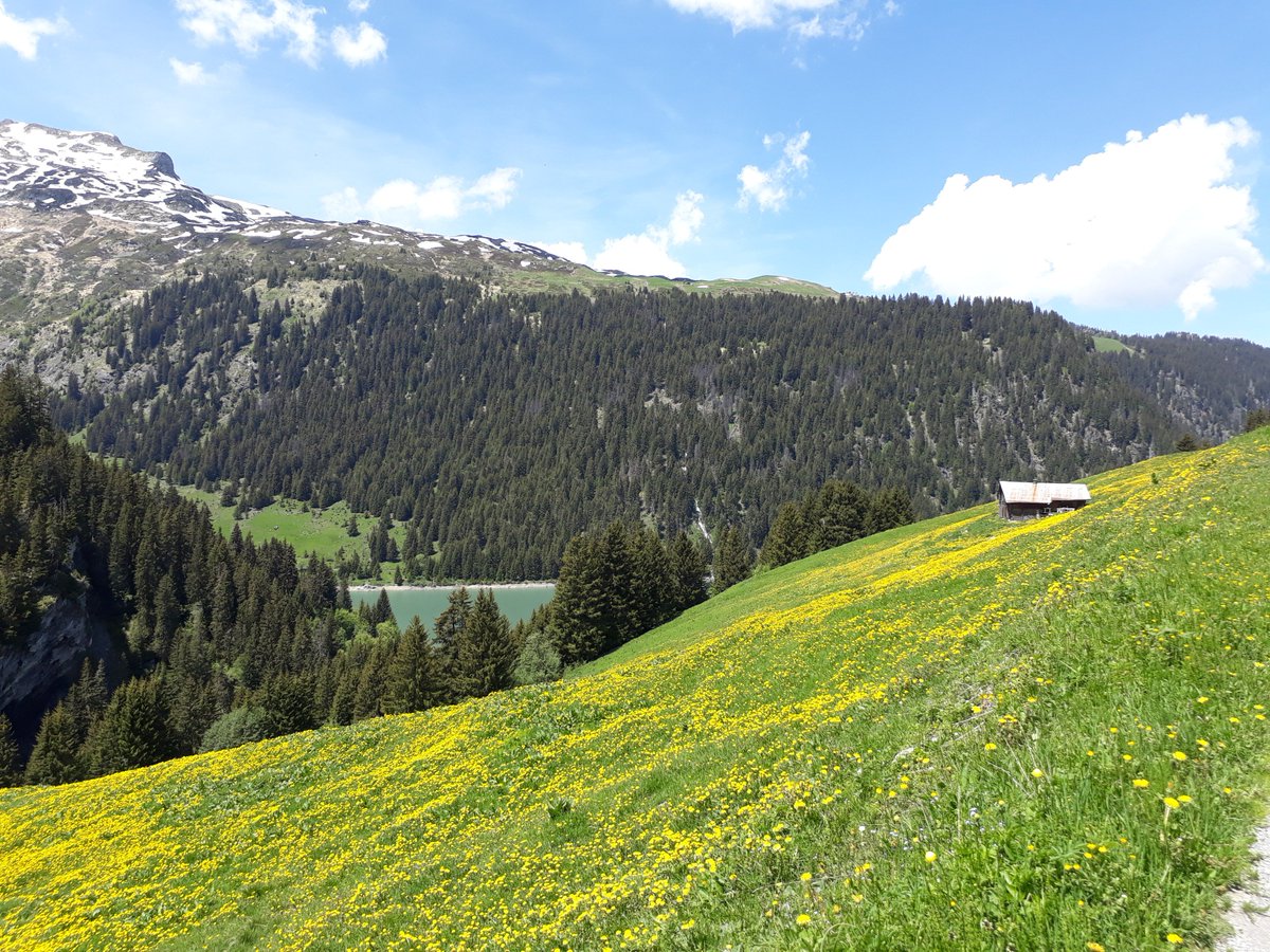 Time to recognize the tracks of <a href="/XTERRAGraveman/">XTERRA Graveman</a> ! Check out our newsletter for more infos and download the gpx from our website!
#ComeAndWarmUp
#MeltingSnow
<a href="/XTERRAFrance/">XTERRA France</a> @XTERRAoffroad