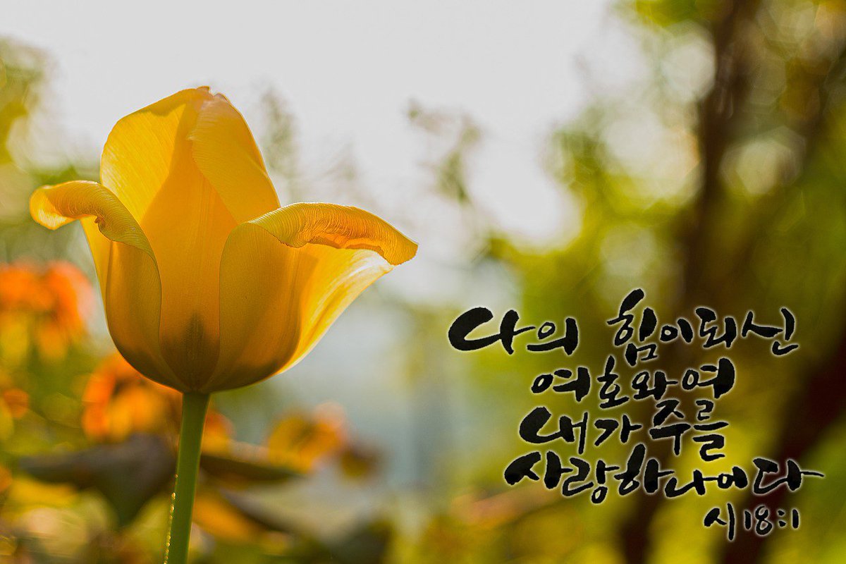 나의 힘이되신 
여호와여
내가 주를
사랑하나이다.
시편18:1

#성경 #bible #좋은글 #캘리 #오늘의한구절