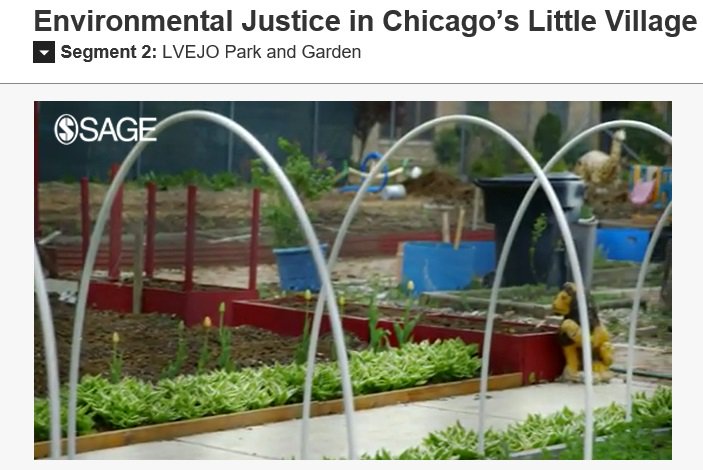 SageSociology's tweet photo. Free #Sociology video: Dr. Antonio Lopez talks about his work with LVEJO, a community organization that engages locals to push for #environmental justice in their #community. Watch now on #SAGEVideo: https://t.co/OemynvYJsX https://t.co/tc3JaE0Ygq