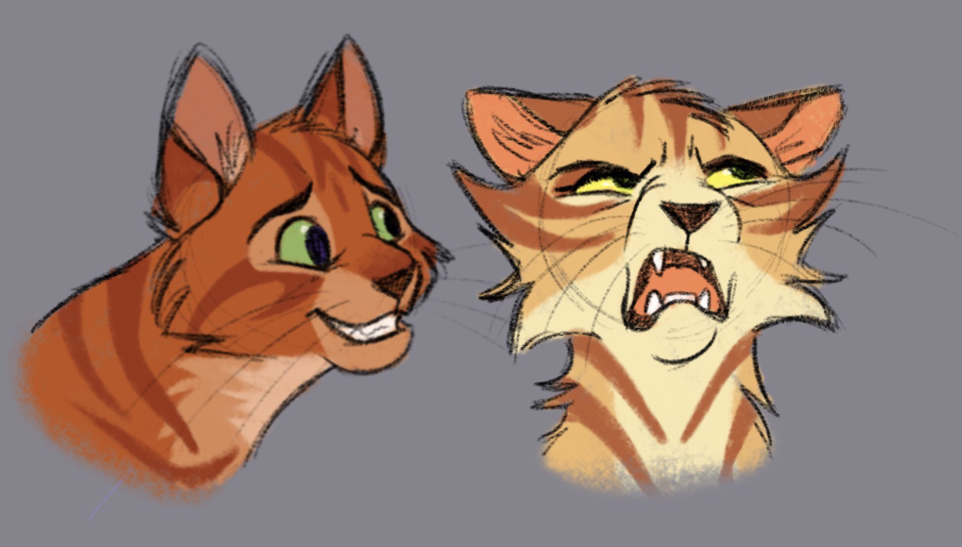 Sandstorm & Firestar коты Воители