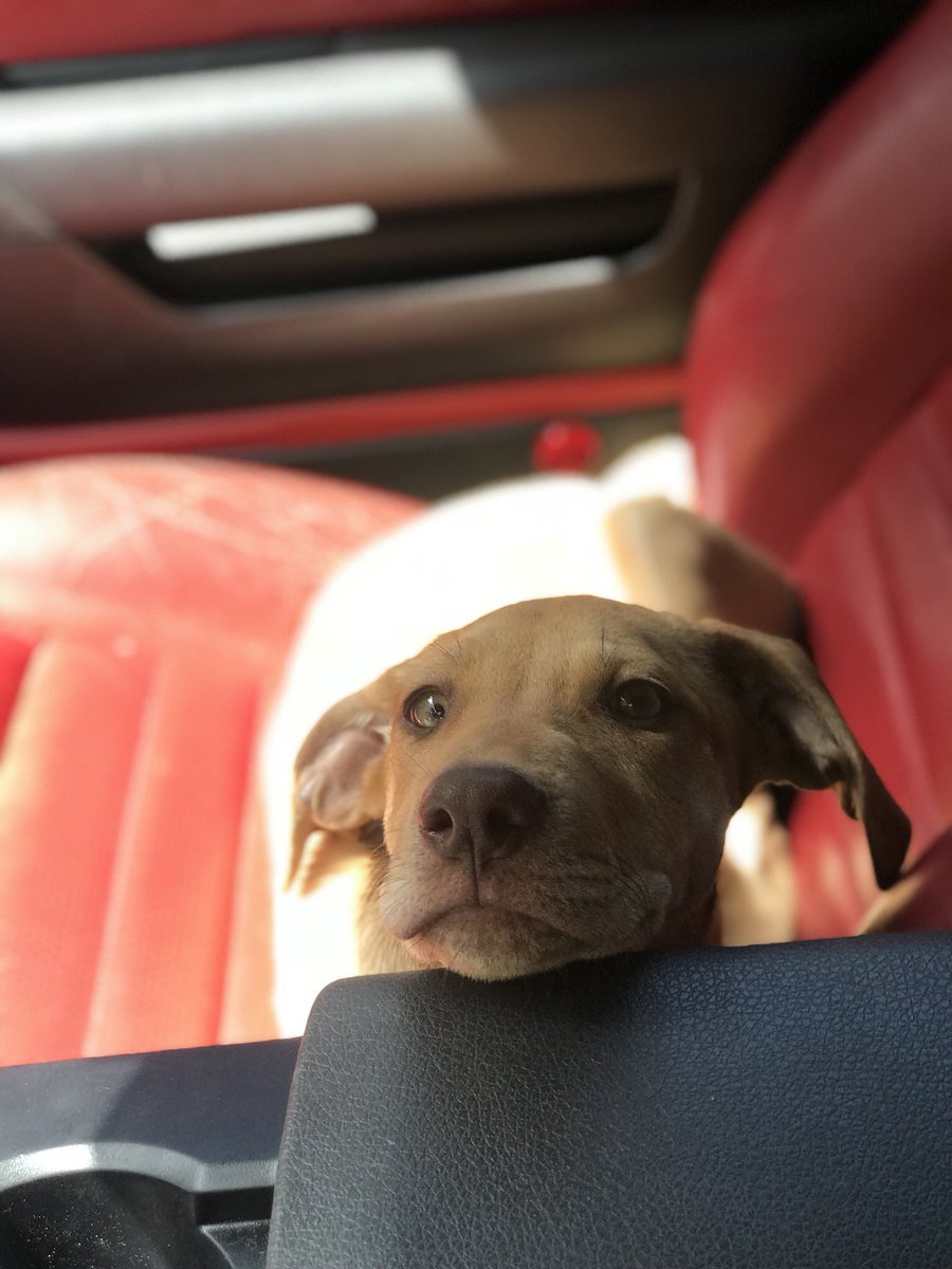 BusternotBustin's tweet photo. https://t.co/AOqewPgWyL
