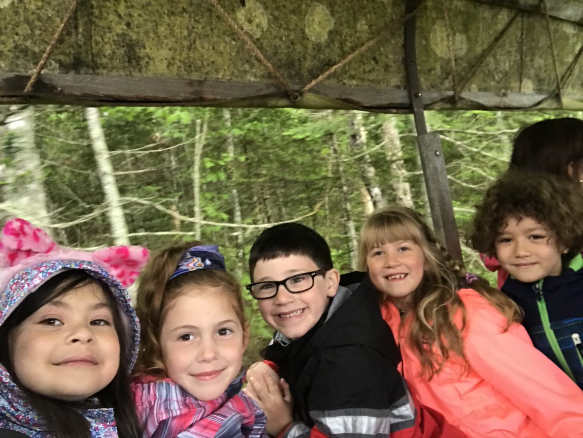 grade1sullivan's tweet photo. Ross Farm @basinviewdrive https://t.co/VWyrAy9Dtc
