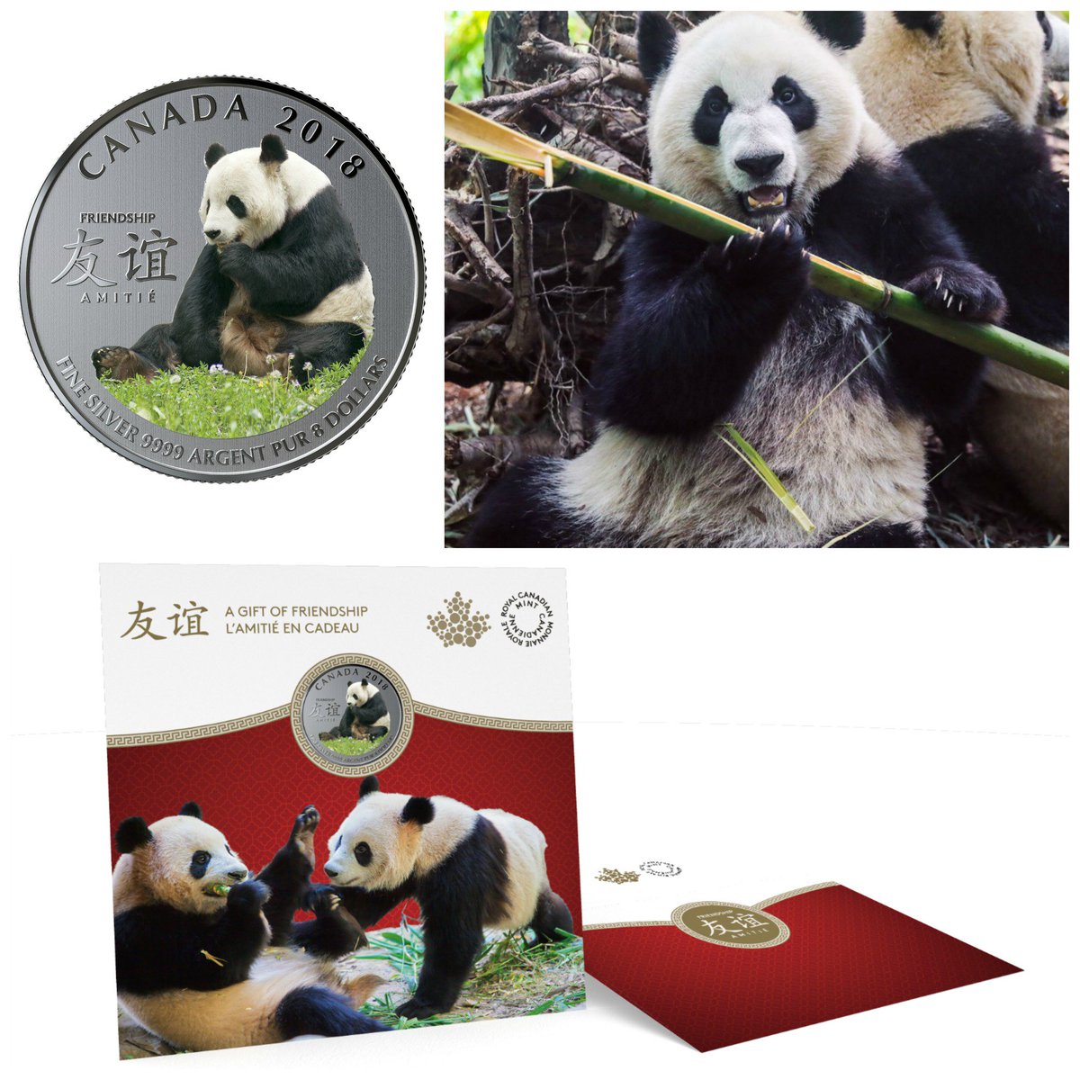 Did you see last week's debut? @CanadianMint unveiled an adorable panda silver coin in celebration of our giant pandas at Panda Passage! The keepsake, a symbol of friendship& goodwill, is available at mint.ca Canada Post outlets. #TBT #royalcanadianmint #pandacoin