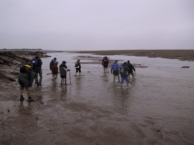 It's a chilly rainy day in  #NovaScotia, so here is a picture of some geologists venturing out on the muddy tidal flats around location 8 during a similar chilly rainy day.