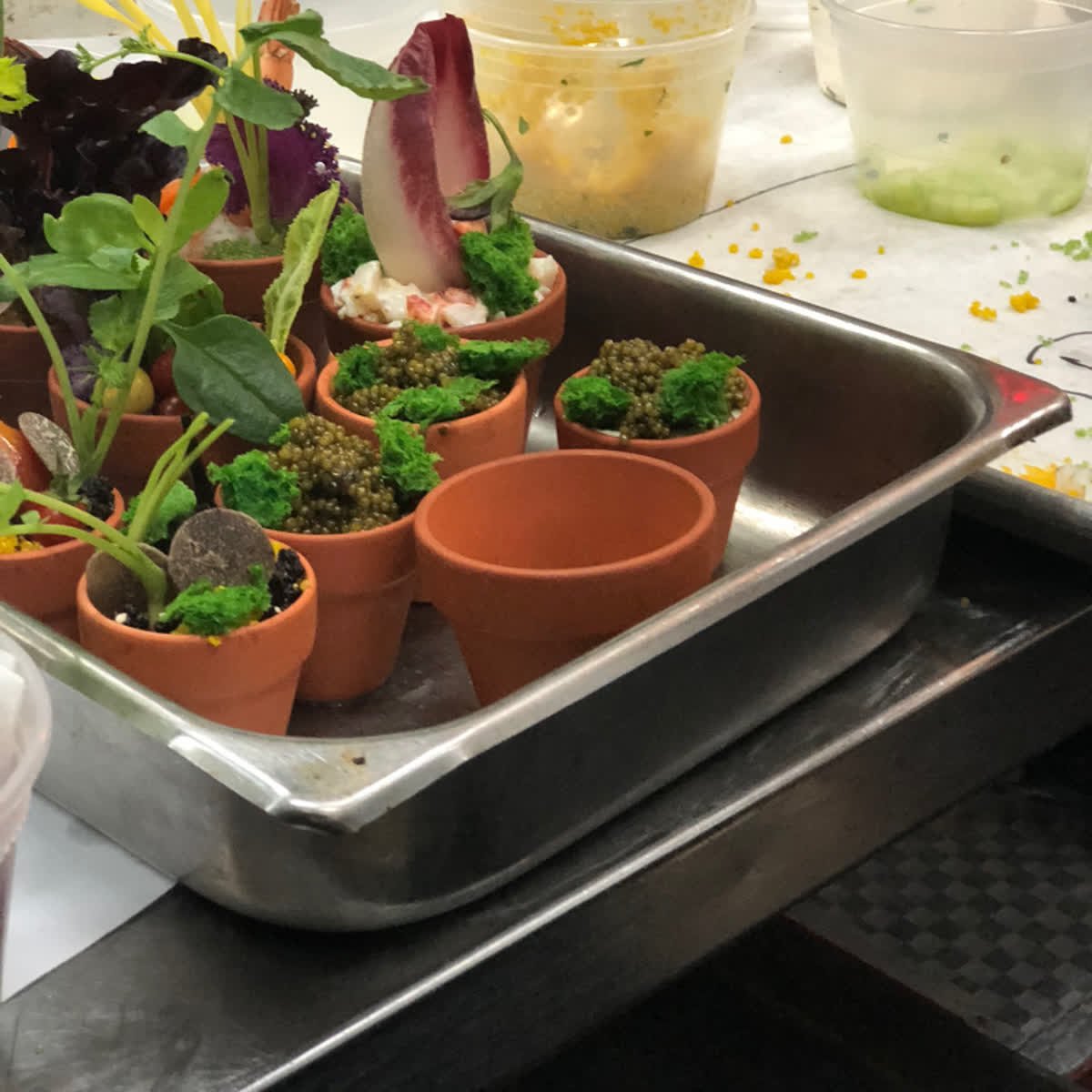 Barton_G_LA's tweet photo. Our talented chefs double as gardeners  🌿
#cocktailsandcrudites #bartong #losAngeles #la #chef #laEats #soGood #fresh #freshEats #whereElse #dinnertainment #btsatbartong #behindthescenes https://t.co/VXooIIj90i
