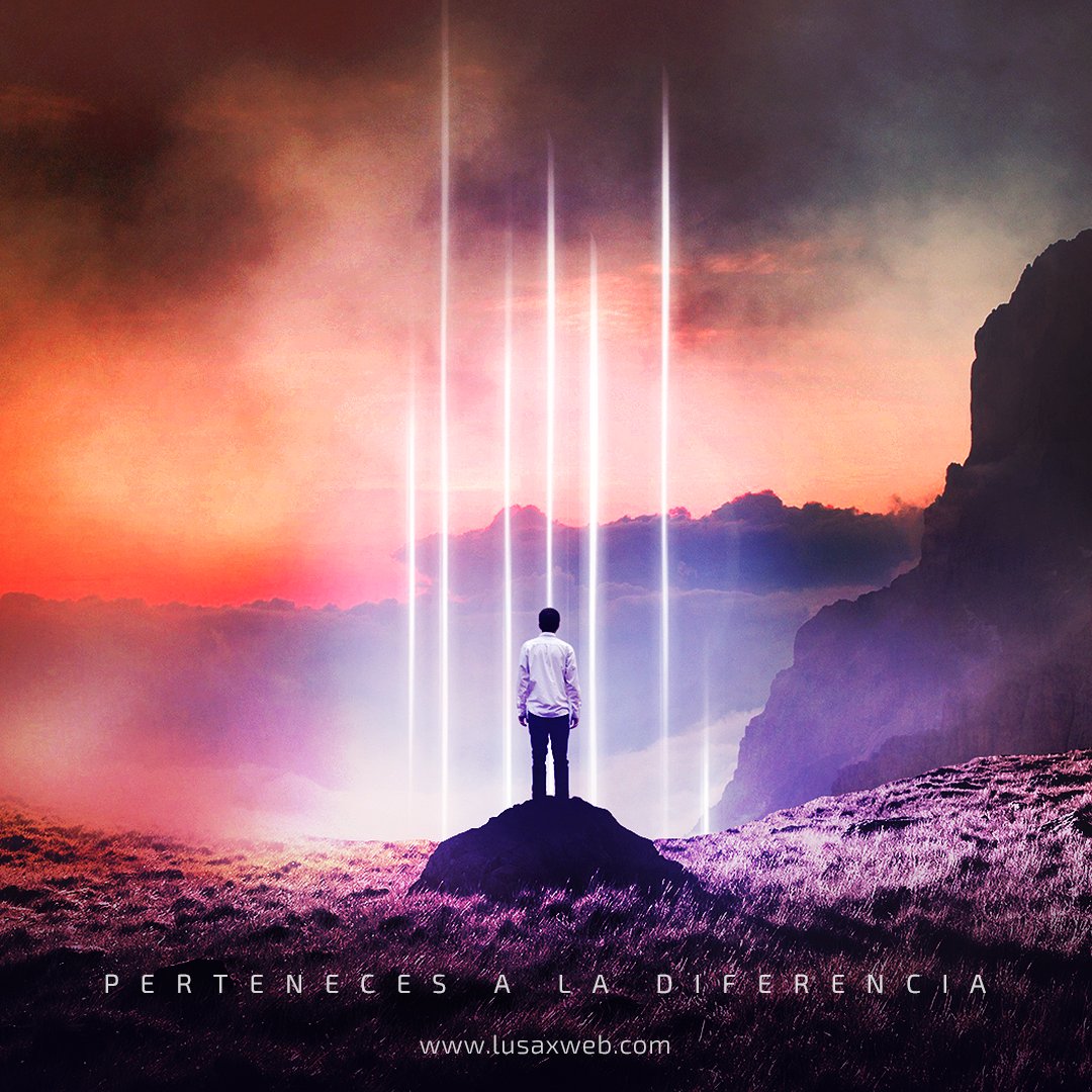 Lusax Web tweet media