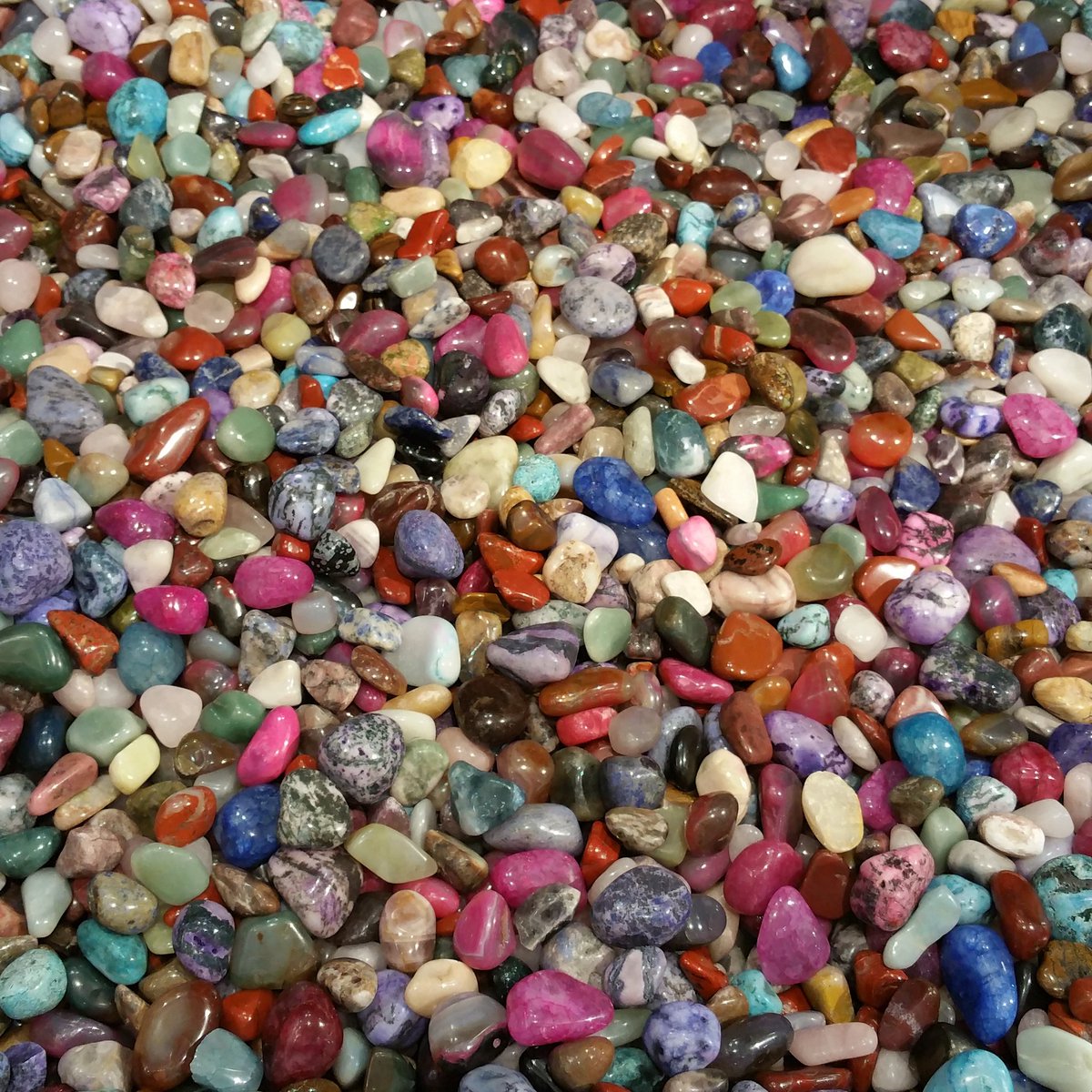 Alison M. Rangel (@allyot128) | Twitter