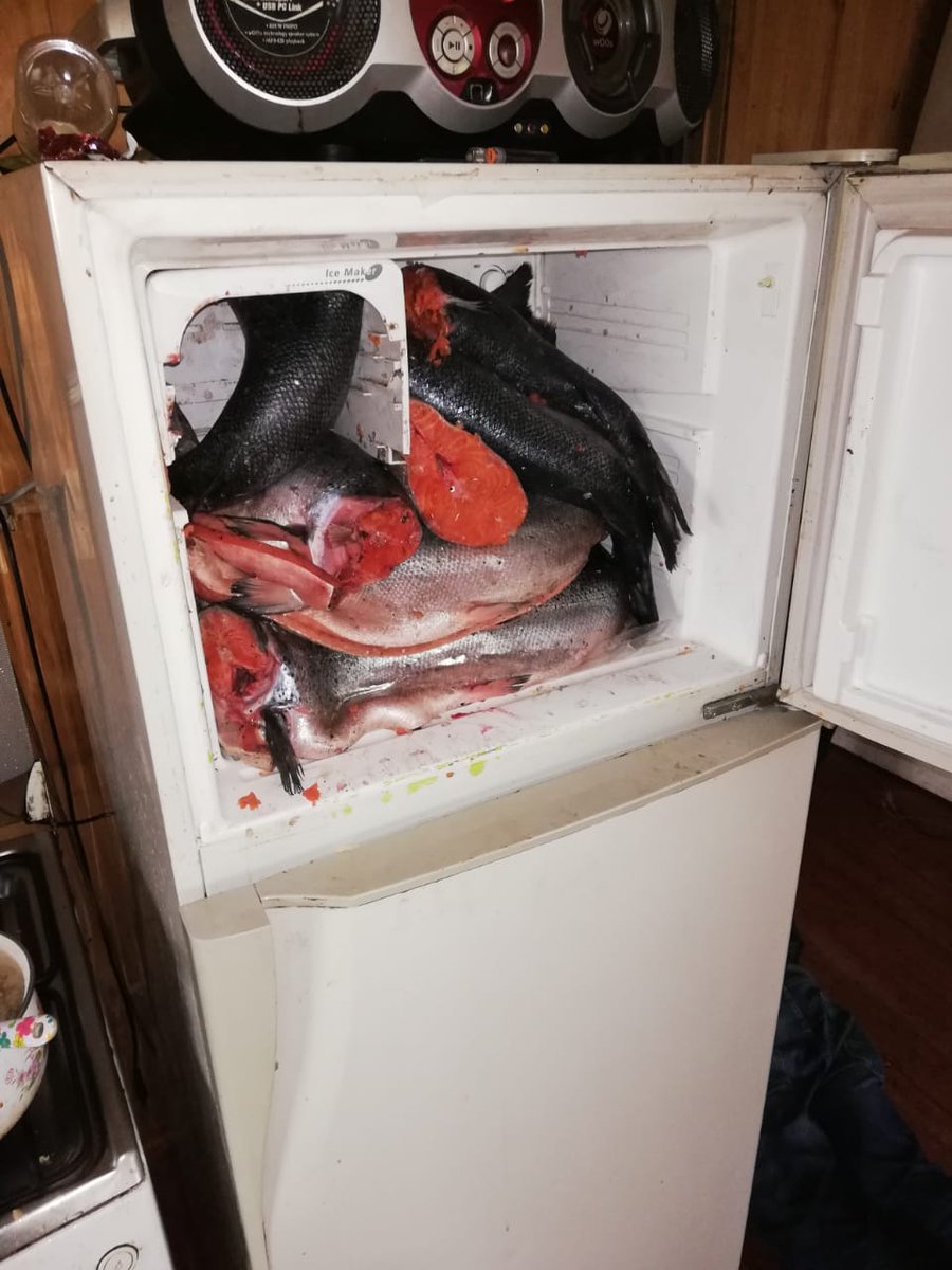 CAPUERTOQUEMCHI's tweet image. Personal de la Capitanía de Puerto de #Quemchi en conjunto con personal de la #Bicrimancud realizan procedimiento de rigor en el sector de isla caucahue por denuncias, tras robos sufridos durante esta madrugada en la feria campesina de la comuna.