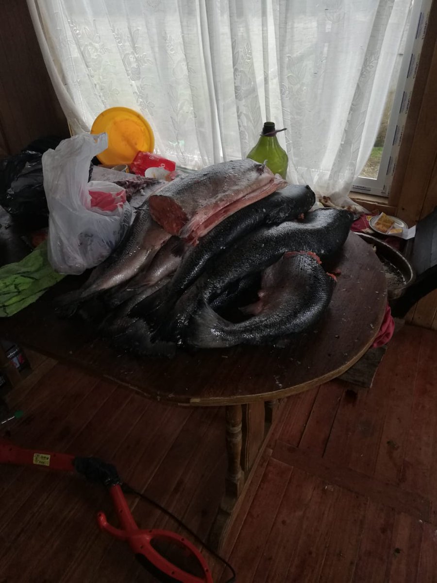 CAPUERTOQUEMCHI's tweet image. Personal de la Capitanía de Puerto de #Quemchi en conjunto con personal de la #Bicrimancud realizan procedimiento de rigor en el sector de isla caucahue por denuncias, tras robos sufridos durante esta madrugada en la feria campesina de la comuna.