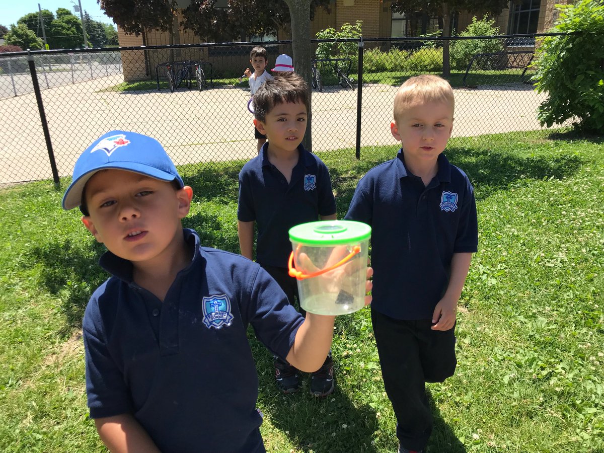 How many bugs can we collect?
<a href="/StJamesHCDSB/">St. James</a>