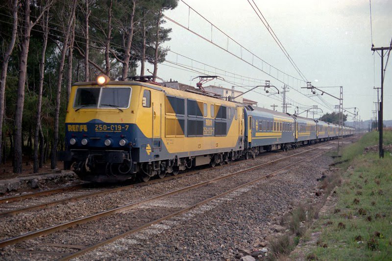 Hom intuitivament pensa que per millorar el ferrocarril el que cal és modernitzar les vies per poder assolir millors velocitats i menors temps, però què sabrem nosaltres? No som polítics. Ràpid de les Roures amb destinació <a href="/Arraldeko_udala/">Arraldeko udala 🎗/Ayuntamiento de Arralde</a> passant per <a href="/aj_lArbog/">Ajuntament de L'Arbog</a>. Foto: GM333