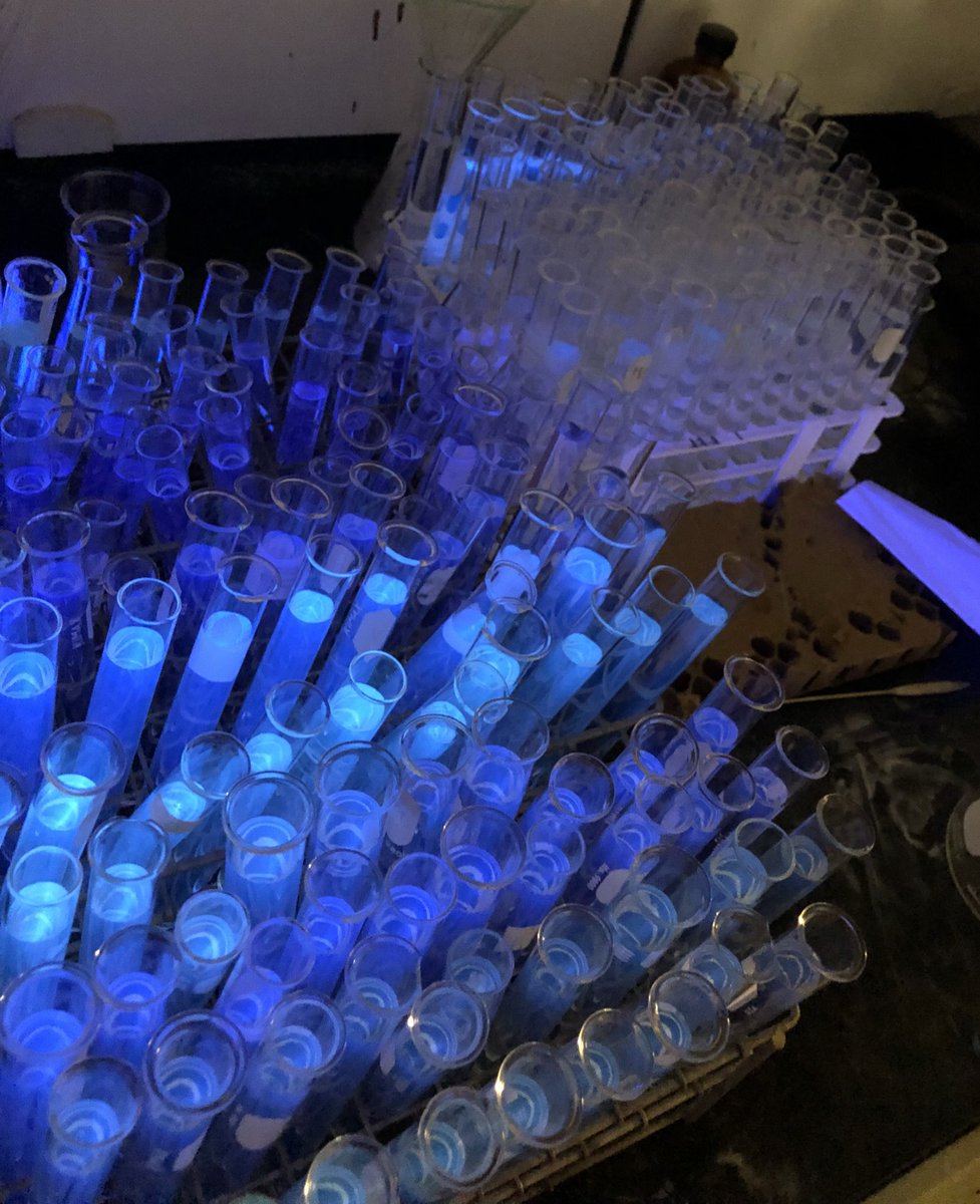 jrad1997's tweet photo. When people ask me what my summer research is, I should tell them that I make shield potions instead of synthesizing tricyclic quinoline macromolecules utilizing A3 methodology. Rolls off the tongue a little better... #pleasedontdrinkthese #theyretoxic https://t.co/UifeeVFmDM