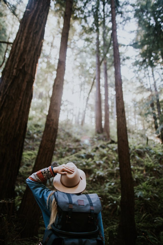 Hiking and Explore tweet media