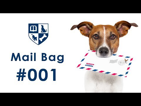 Announcing the Dunbar Academy YouTube channel - luvchihuahuas.com/2018/06/14/ann…