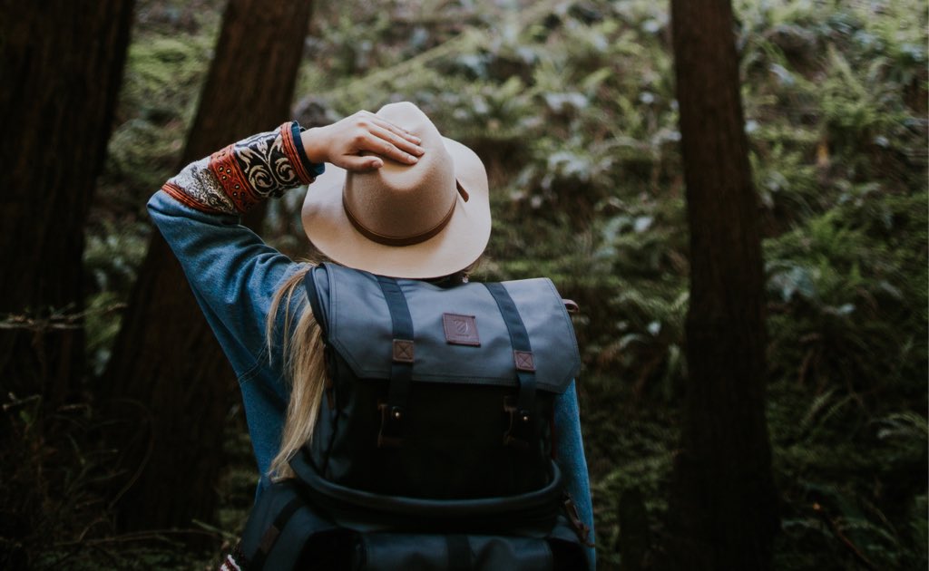 Hiking and Explore tweet media