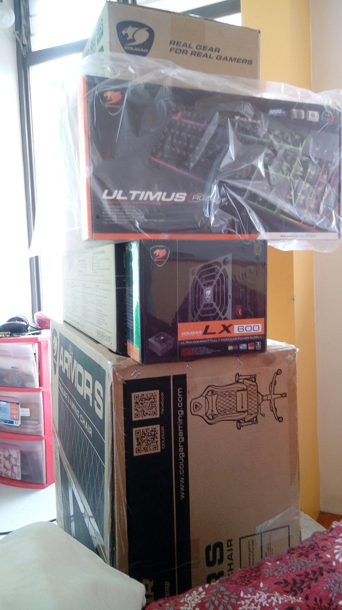 ProfeAndresX's tweet image. Re copados los amigos de @cougargaminglt  #GoPEX