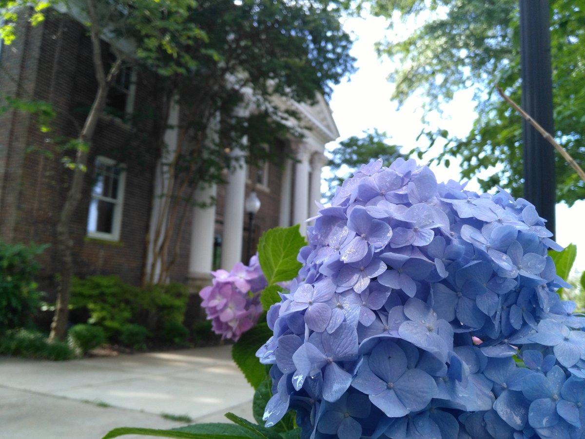 AthensStArchive's tweet photo. McCandless Hall was completed in 1912 at @AthensState under the tenure of Pres. Mary Norman Moore. Named after Music Director Kate McCandless, it is on the National Register of Historic Places. 

#tbt #HistoricPreservation #AlabamaHistory #ThisPlaceMatters #WomensHistory https://t.co/jfwZqodkOR