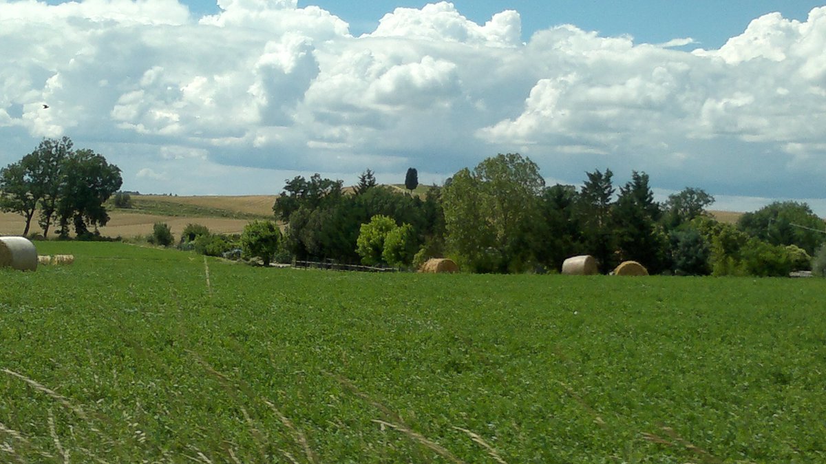 MURATMIHCIOGLU's tweet photo. #CreteCon
#Asciano
#Toscana
#Italia
#Çiztanbul https://t.co/naMor4dudO