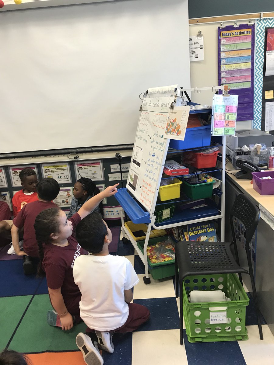 alissabberg's tweet photo. Engaging in #productivetalk & #constructingexplanations for why new chalta trees aren’t growing #ngss #ExcelwithAUSL @tseall1 @amplify https://t.co/1sVvqRdJxY
