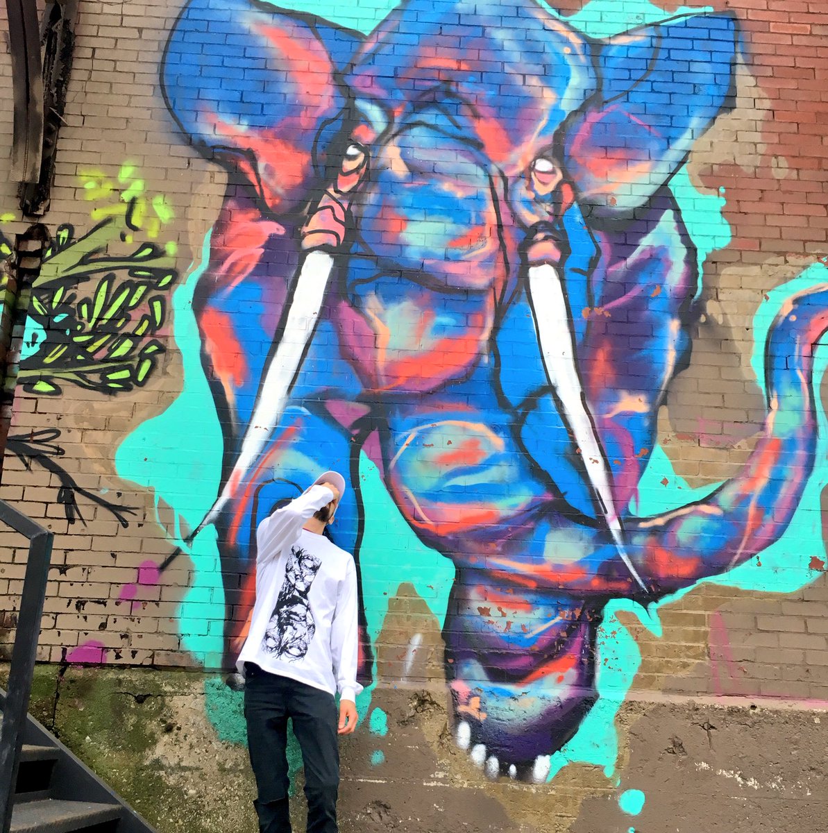ghostofjamesart's tweet photo. Stampede #photography #Clothing #streetwear #StreetStyle #fashion #music #chicago #underground #hiphop #rocknroll #arts #artwork #graffiti #streetart #clothingbrand #gothic #custom #shirt #ScreenPrinting #screenprint #brokeheartclub #pettyroyalty #colorful #elephant https://t.co/O5MfMkEUZZ