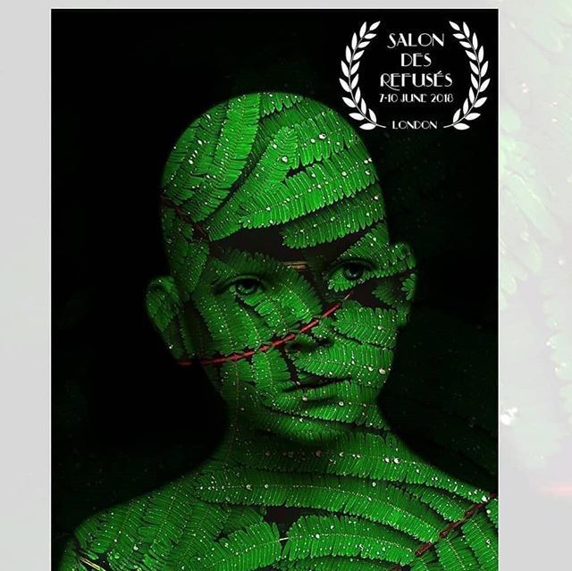 N O R I S tweet media