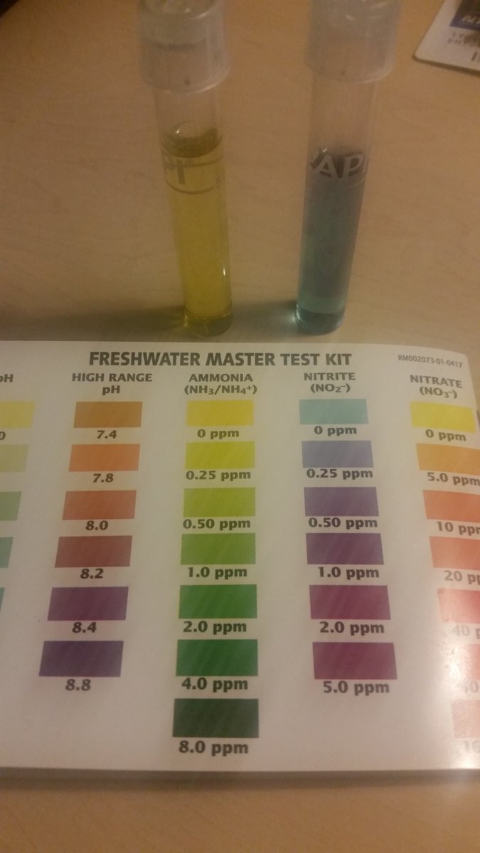 ThaiSibir's tweet photo. I shouldn't be this excited (but I am) that my new tank is finally cycled and ready for another axolotl. (Ammonia and nitrite should be 0 ppm) #aquaristproblems https://t.co/QhFyKieMJC